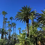 Camping La Baume La Palmeraie 5*