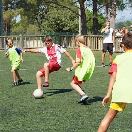 La Baume La Palmeraie Camping Fréjus
