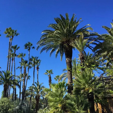 La Baume La Palmeraie 5*