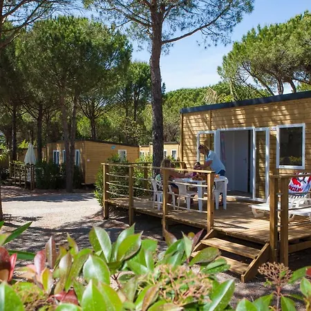 Camping La Baume La Palmeraie