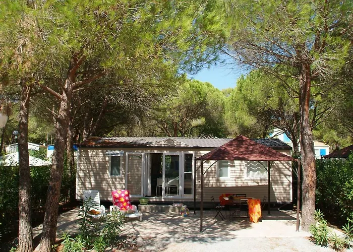 La Baume La Palmeraie
