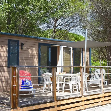 Camping La Baume La Palmeraie Campsite 5*