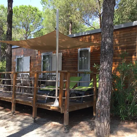 Campsite Camping La Baume La Palmeraie 5*