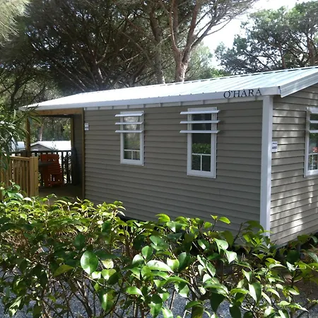 La Baume La Palmeraie Campingplatz Fréjus