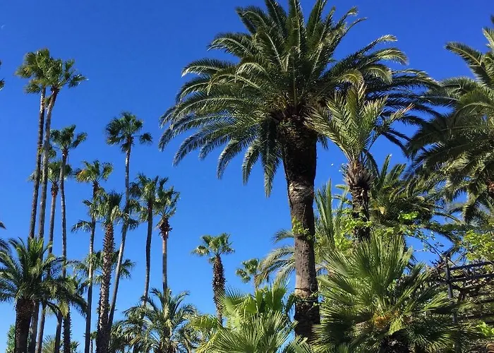 La Baume La Palmeraie 5*