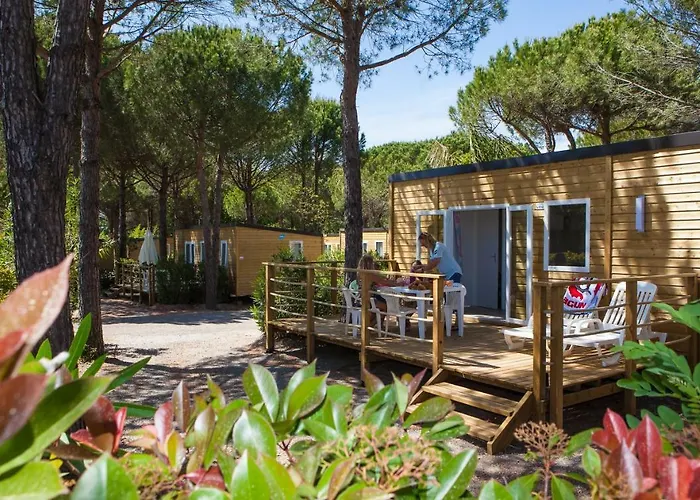 Kemping La Baume La Palmeraie